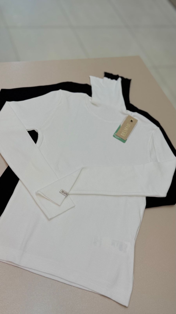 Blusa basica biamar com gola